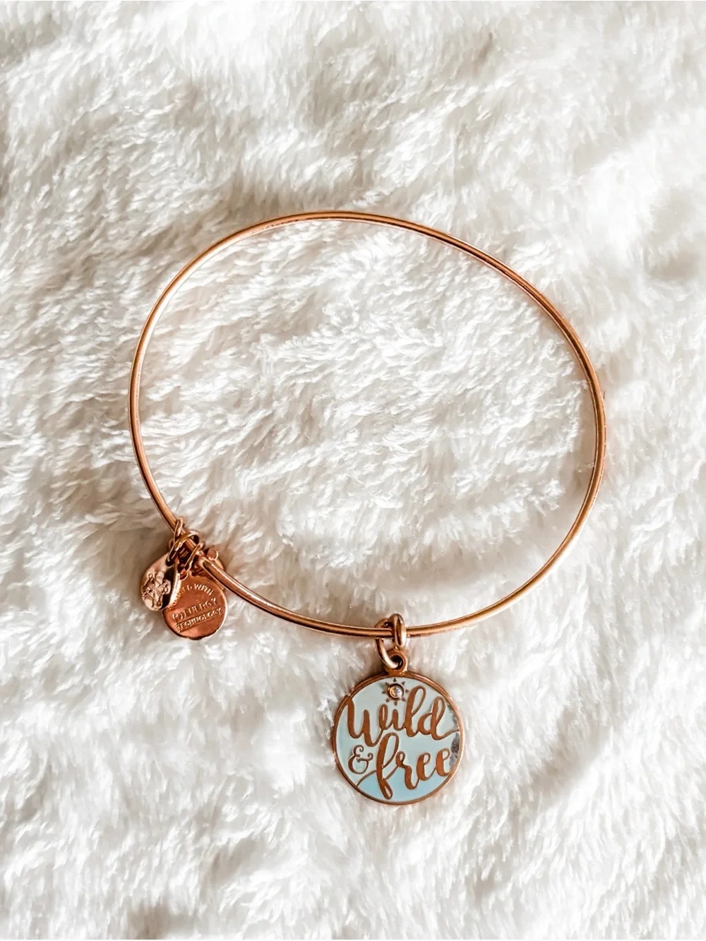 Alex and Ani 'Wild & Free' Charm Bangle Bracelet - Rose Gold